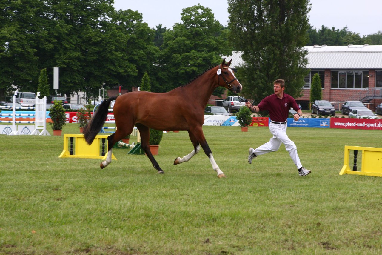 Bild 84 - Elmshorn am 9.6.10